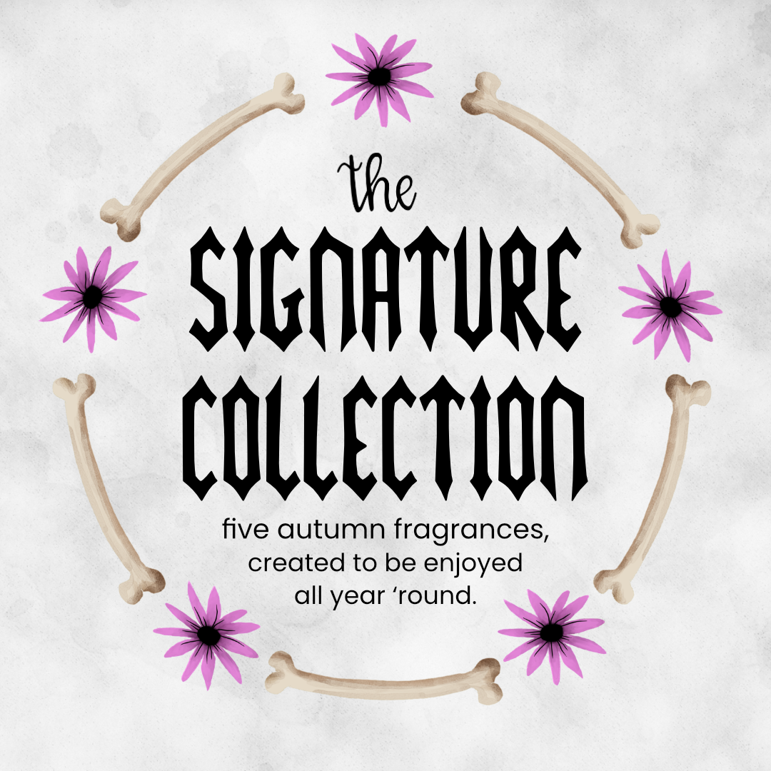 The Signature Collection Bundle