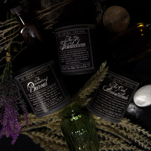 The Poe Collection Bundle