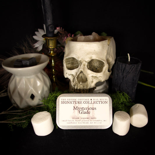 Mysterious Glade Wax Melts