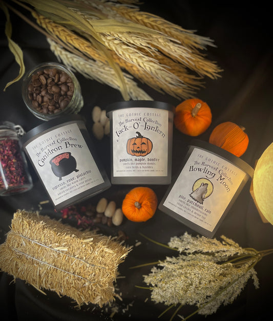 The Harvest Collection Bundle